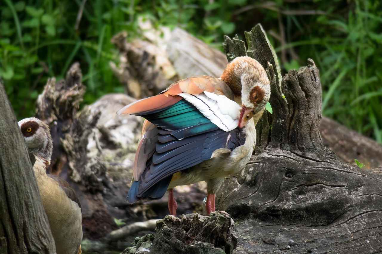 Ancient Egyptian Jewelry & Its Mythological Connections 3 What Role Did Jewelry Play in Social Status?