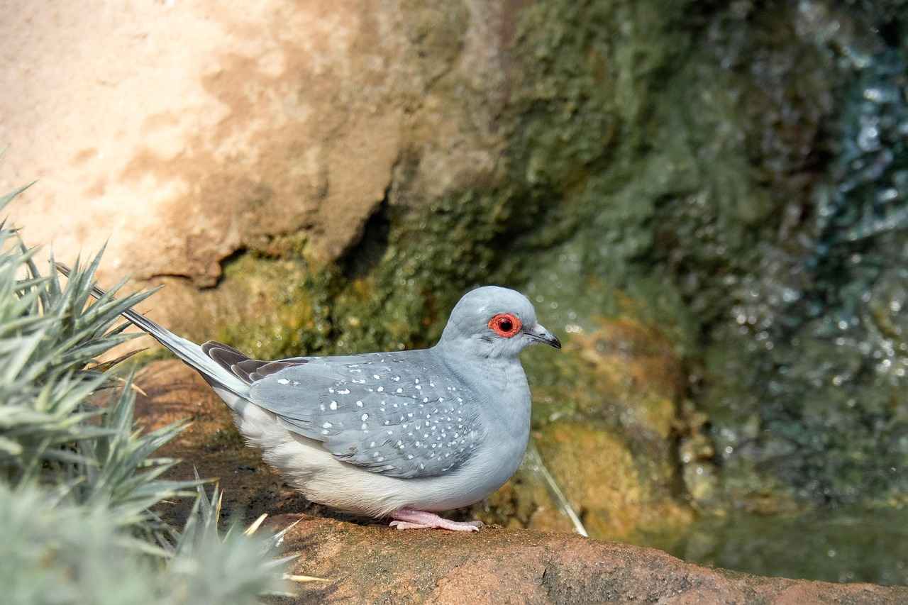 How to Buy a Diamond: The 4Cs Explained Simply 3 What Does Diamond Color Mean?