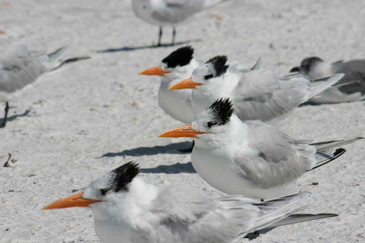 What Jewelry Styles Are Kate Middleton and Meghan Markle Embracing?