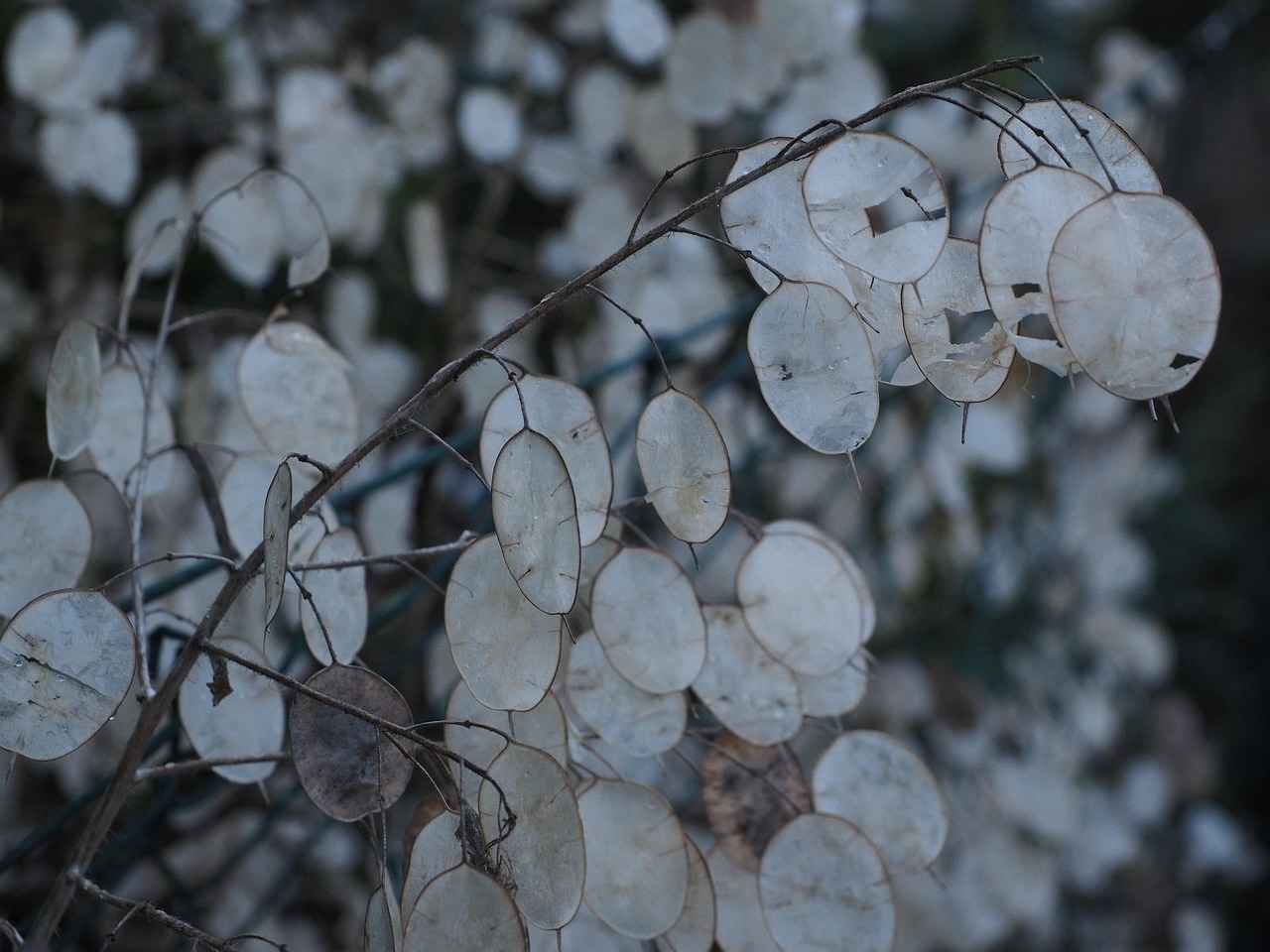 How Do Supply and Demand Affect Silver and Gold Prices?