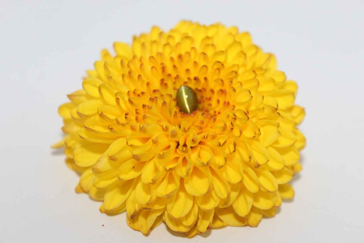 Understanding Market Trends