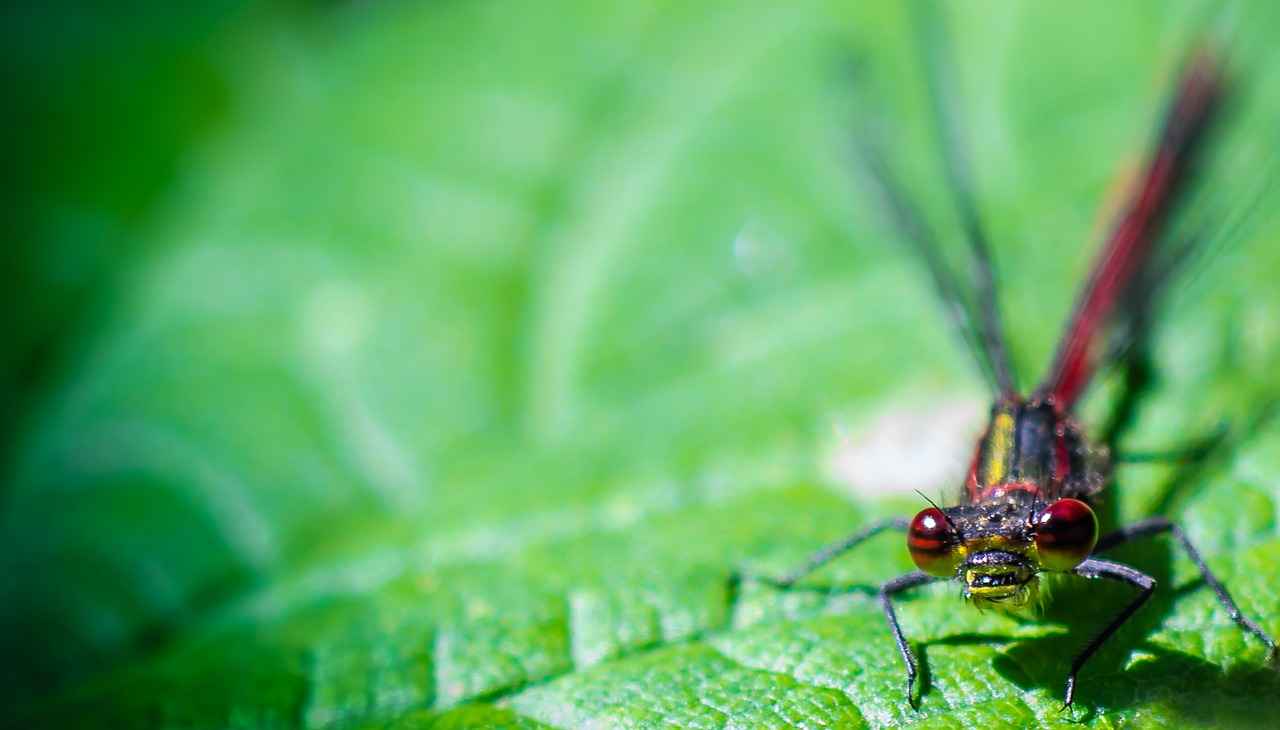 How to Care for Your Evil Eye Necklace?