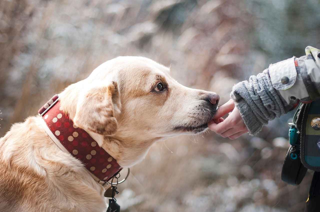 How to Care for Your Friendship Bracelet?