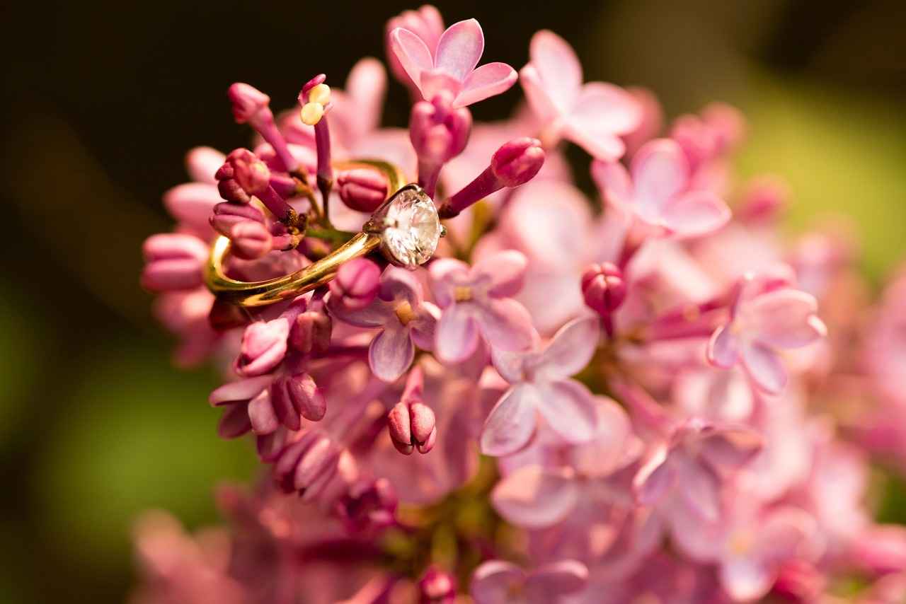 6. Zales: The Diamond Store