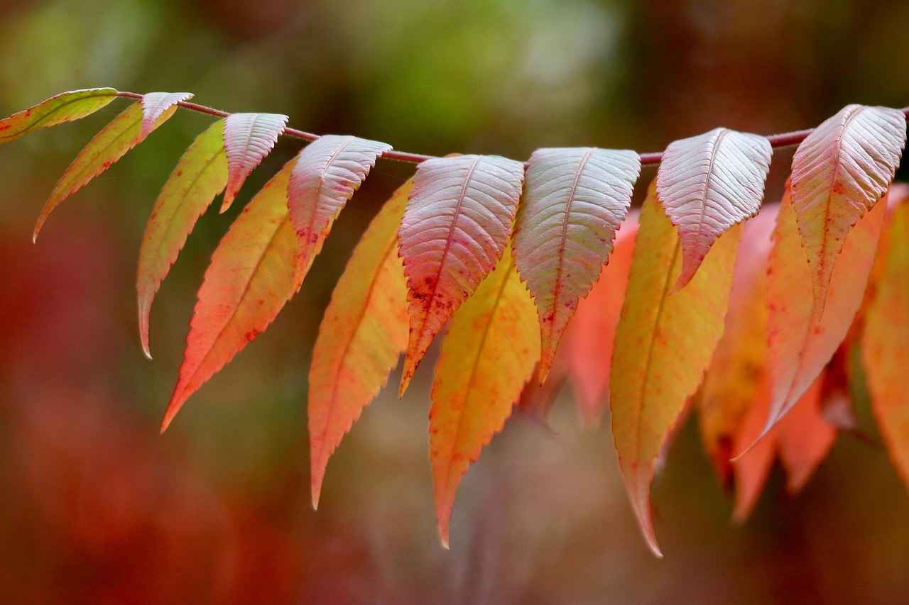 How to Use Vinegar to Clean Jewelry?