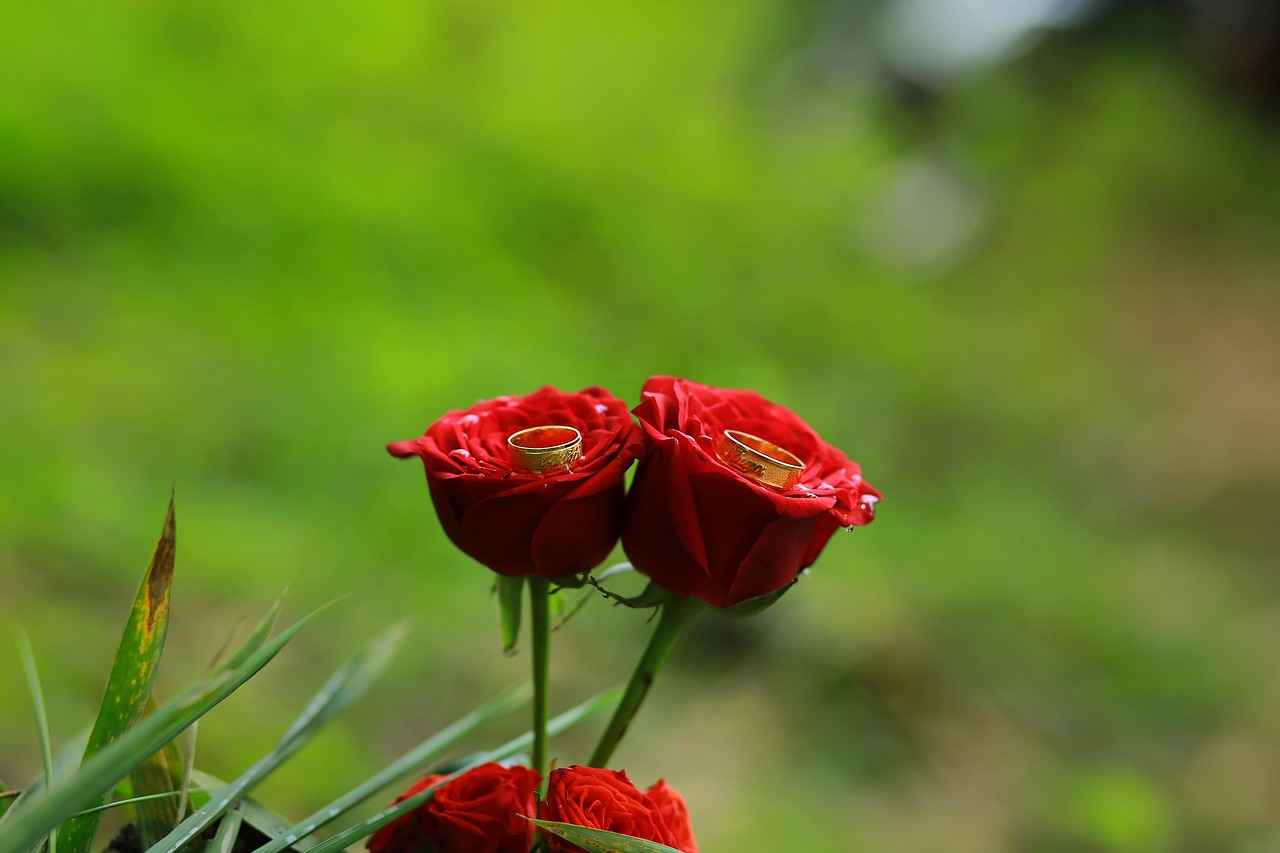 What to Expect When Visiting a Local Jewelry Store?